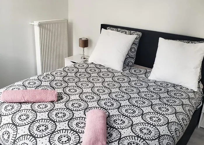 Vierzon Superbe Appartement